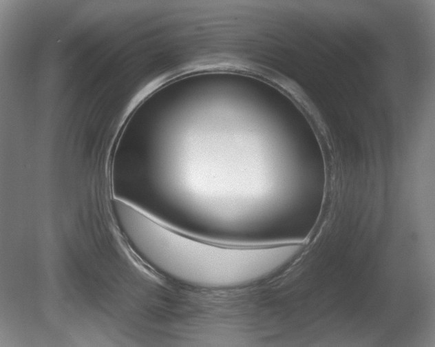 X0000080661242200612150727