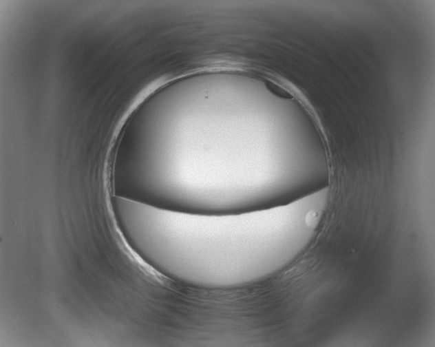 X0000080661243200612150727
