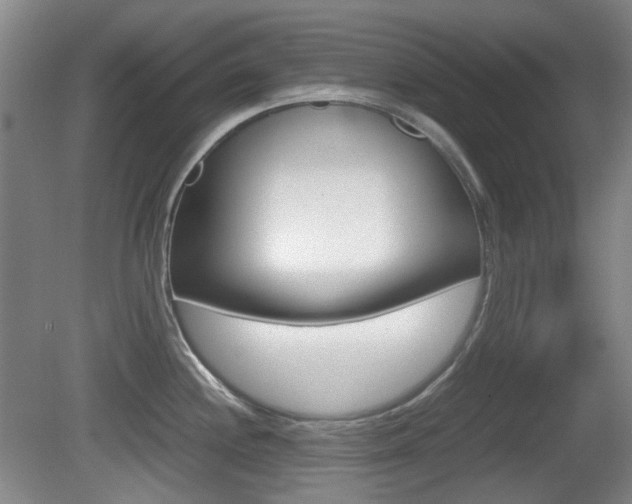 X0000080661244200612150727