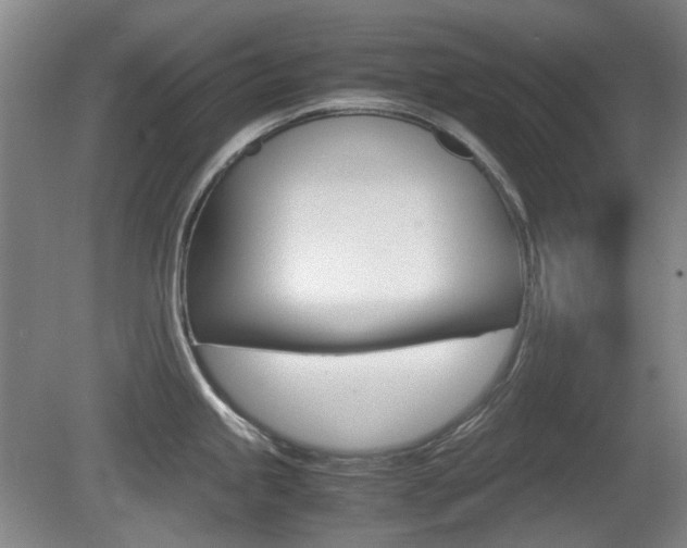 X0000080661245200612150727