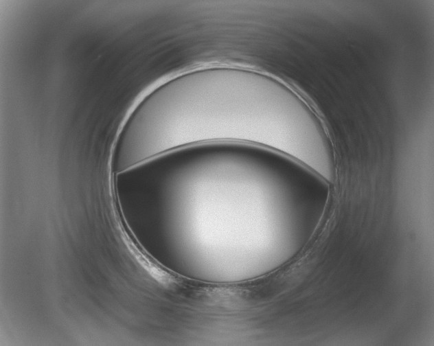 X0000080661246200612150727