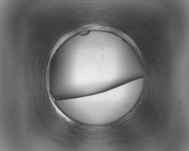 X0000080661247200612150727