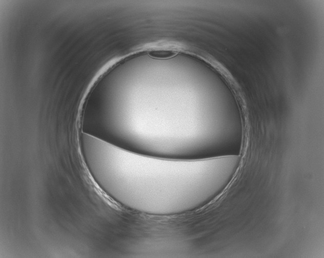 X0000080661248200612150727