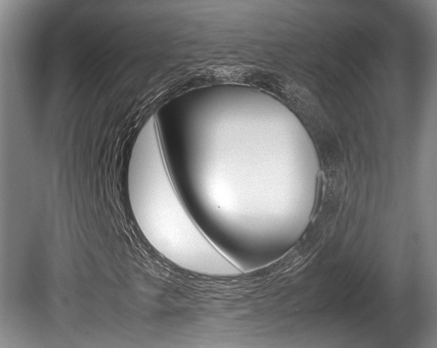 X0000080661249200612150726
