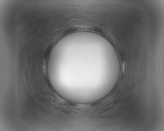 X0000080661251200612150726