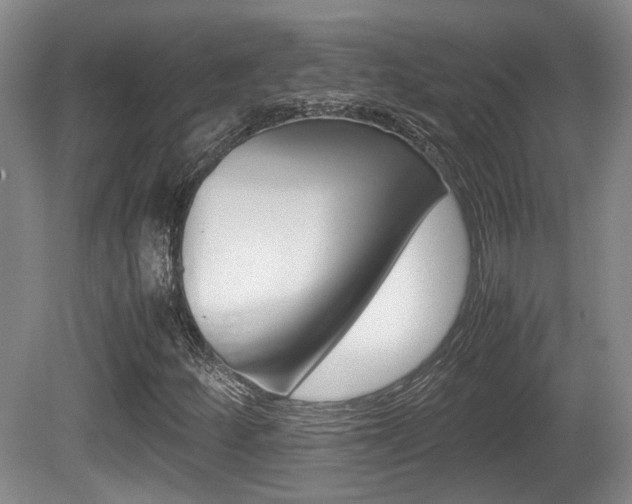 X0000080661252200612150726