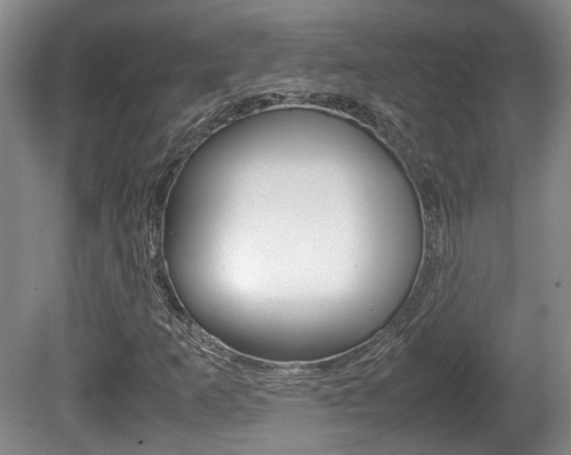 X0000080661253200612150726