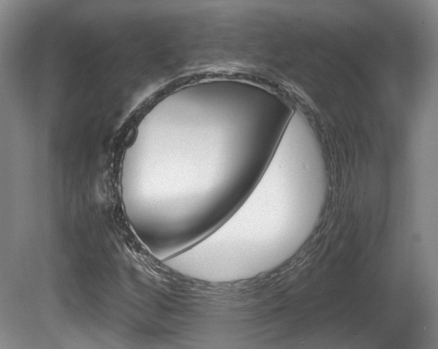 X0000080661256200612150726
