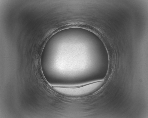 X0000080661257200612150726