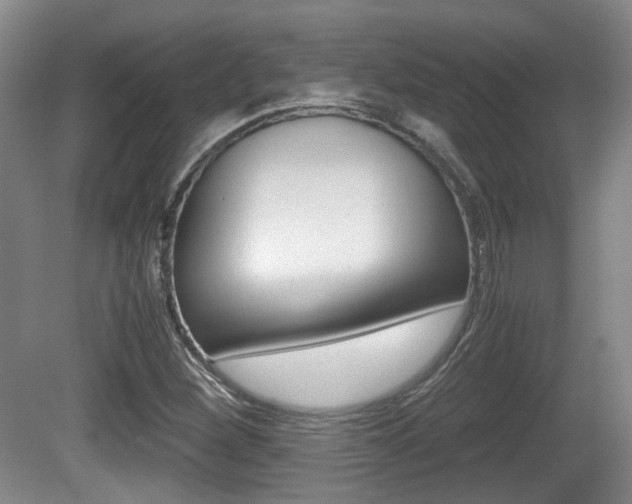 X0000080661260200612150726