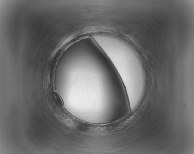 X0000080661261200612150726