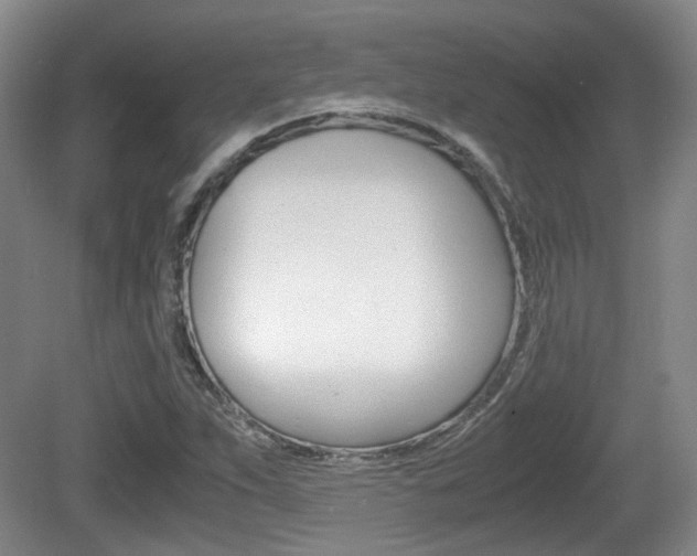 X0000080661263200612150726