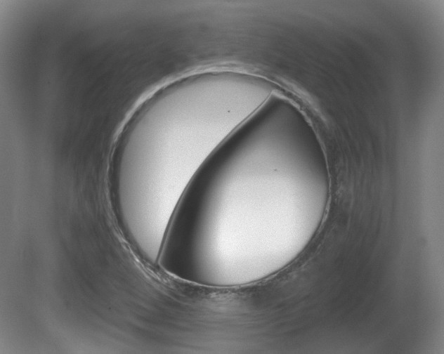 X0000080661264200612150726
