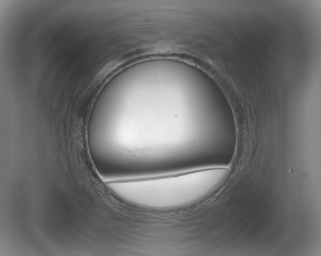 X0000080661265200612150726