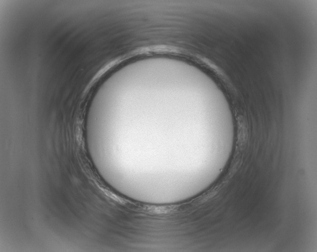X0000080661266200612150726
