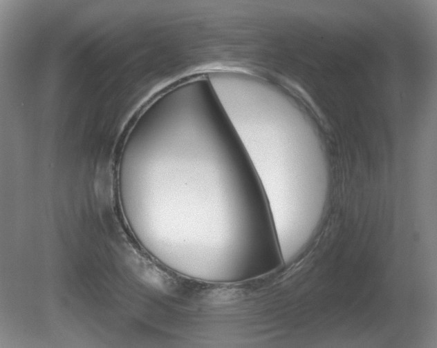 X0000080661268200612150726