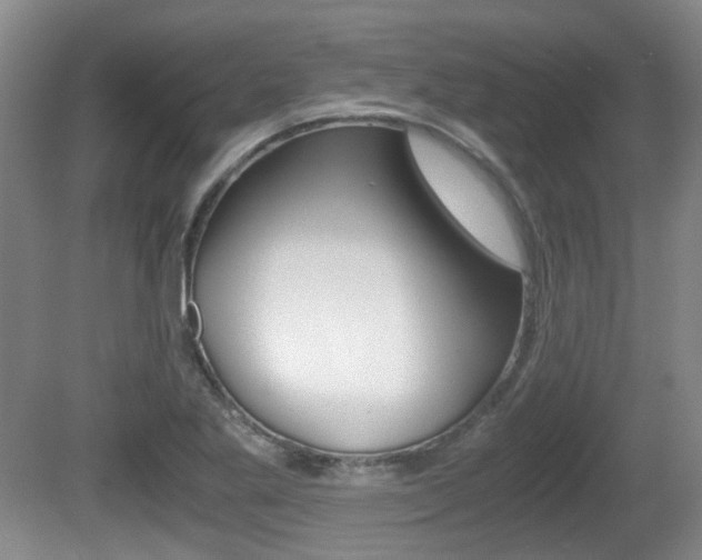 X0000080661269200612150726