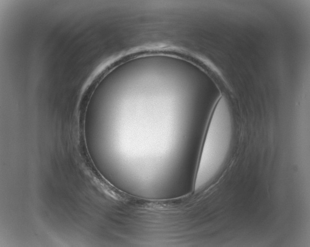 X0000080661270200612150726