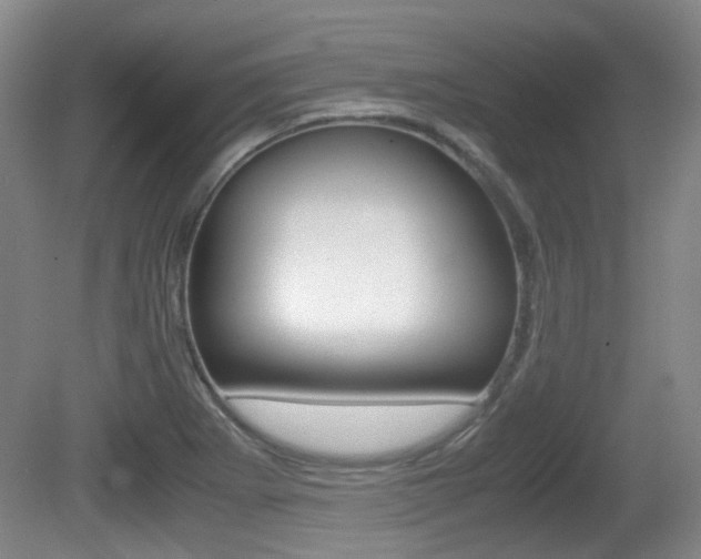 X0000080661273200612150726