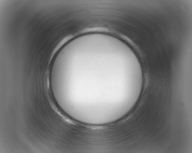 X0000080661274200612150726