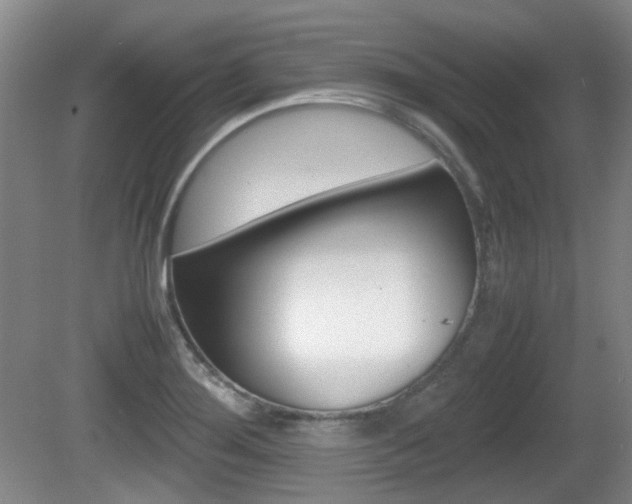 X0000080661276200612150726