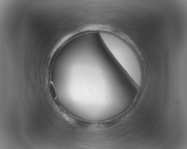 X0000080661277200612150726