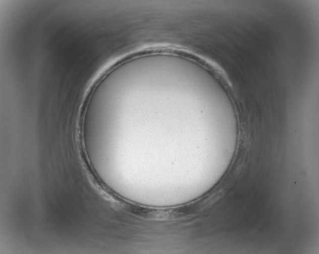 X0000080661279200612150726