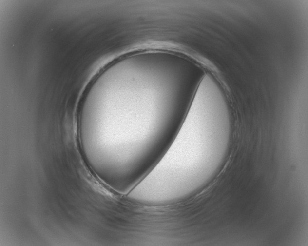 X0000080661280200612150726