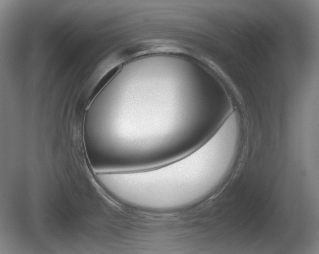 X0000080661281200612150726
