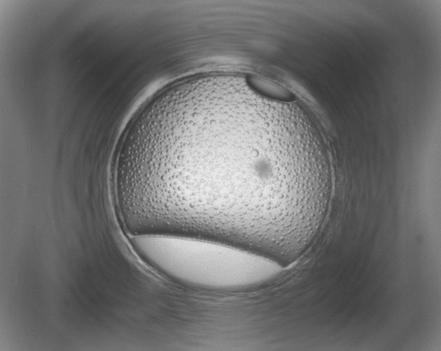 X0000080661283200612150726