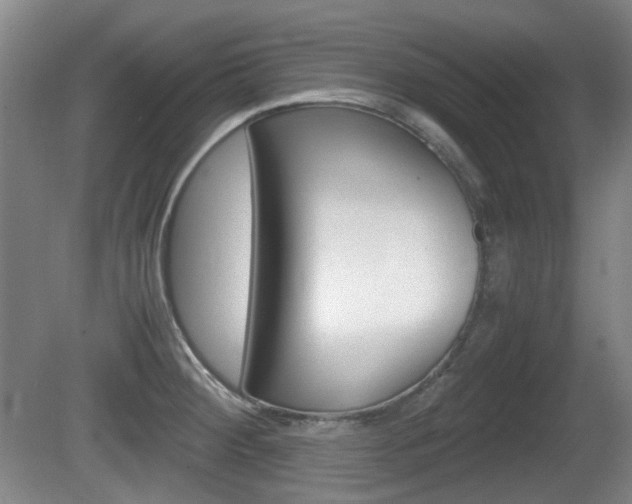 X0000080661284200612150726