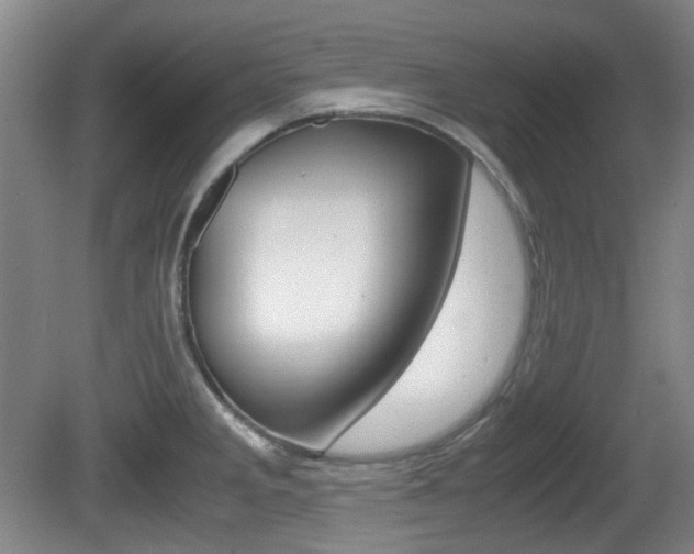 X0000080661285200612150726