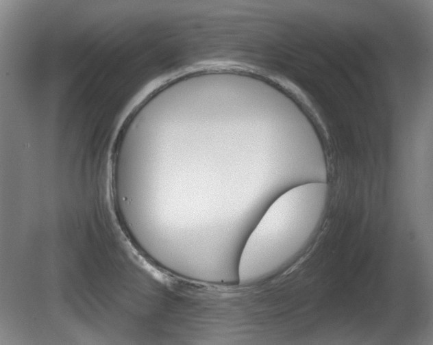 X0000080661286200612150726