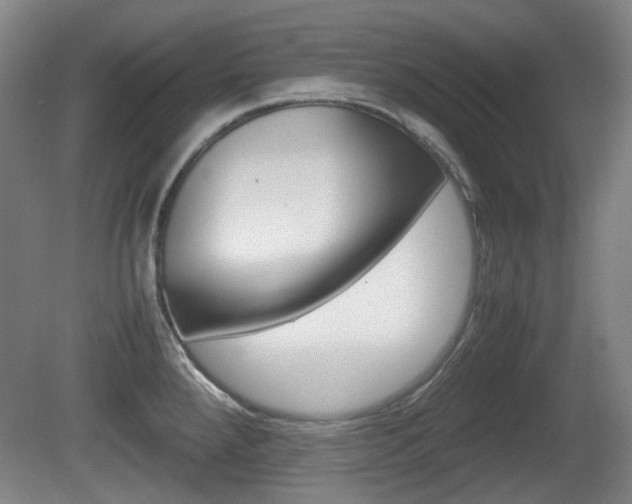 X0000080661288200612150725