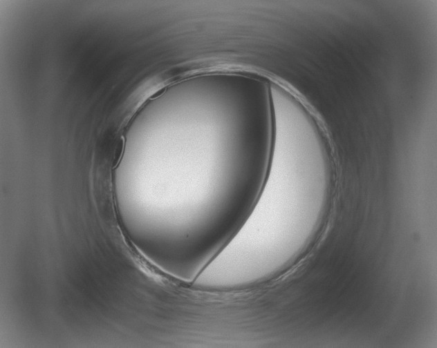 X0000080661289200612150725