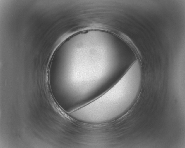 X0000080661292200612150725