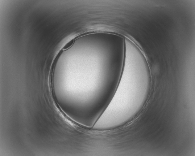 X0000080661293200612150725