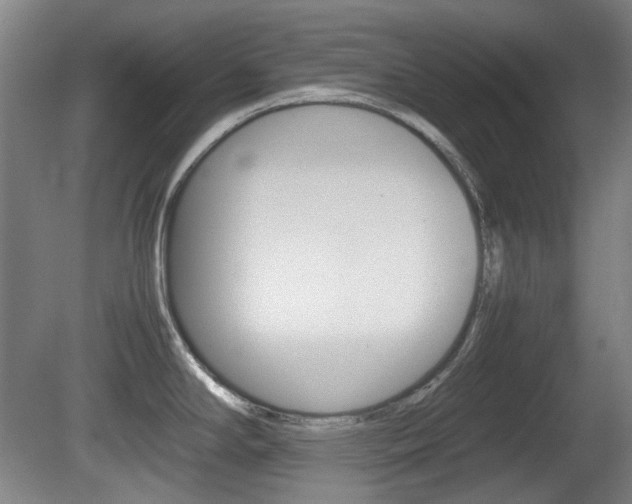 X0000080661294200612150725