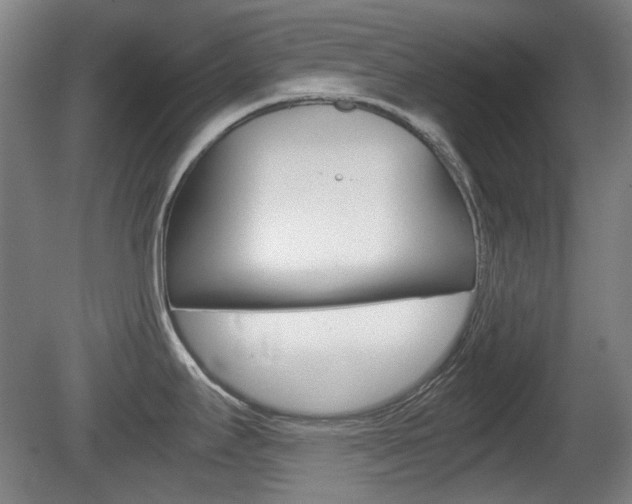 X0000080661295200612150725