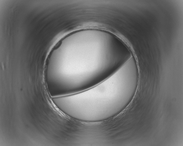 X0000080661296200612150725