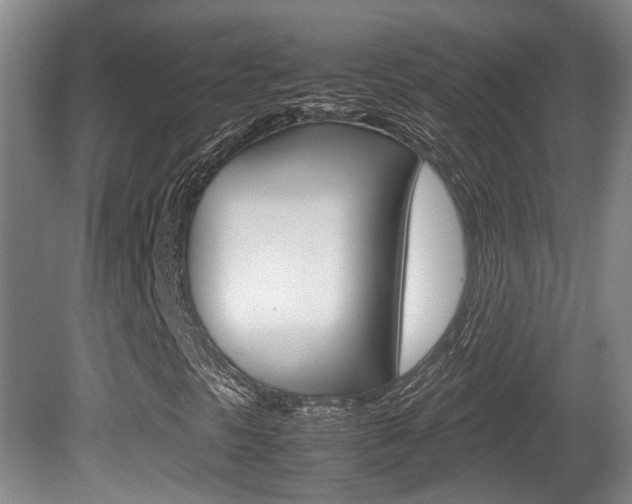 X0000080661297200612150725