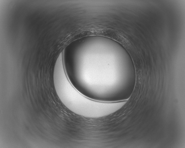X0000080661298200612150725