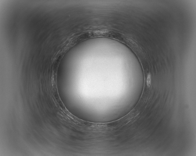 X0000080661299200612150725