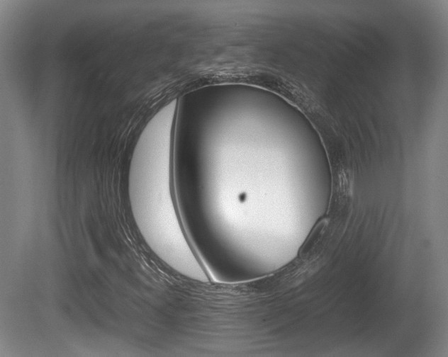 X0000080661300200612150725