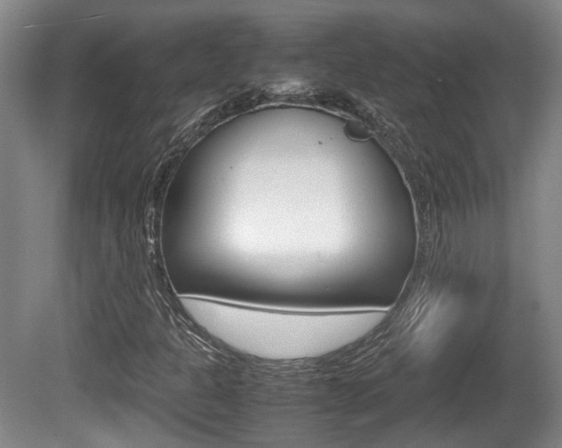 X0000080661301200612150725