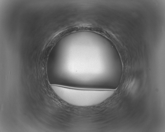 X0000080661303200612150725