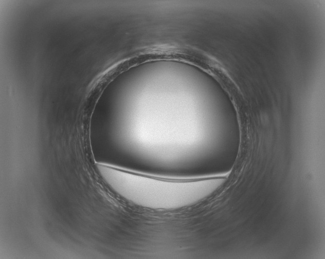 X0000080661304200612150725