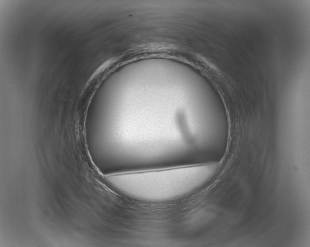 X0000080661306200612150725
