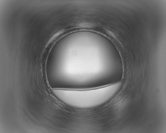 X0000080661307200612150725