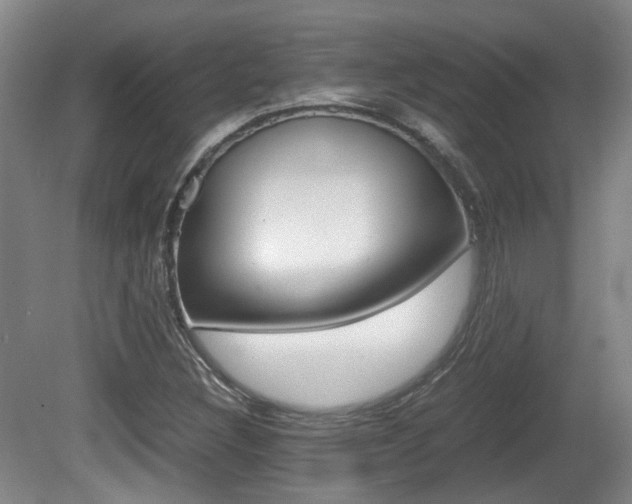 X0000080661308200612150725